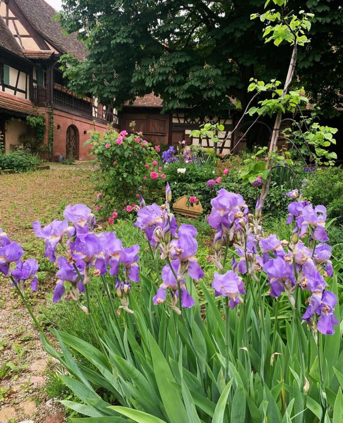 Au Fil Du Temps Bed & Breakfast Imbsheim Exterior photo